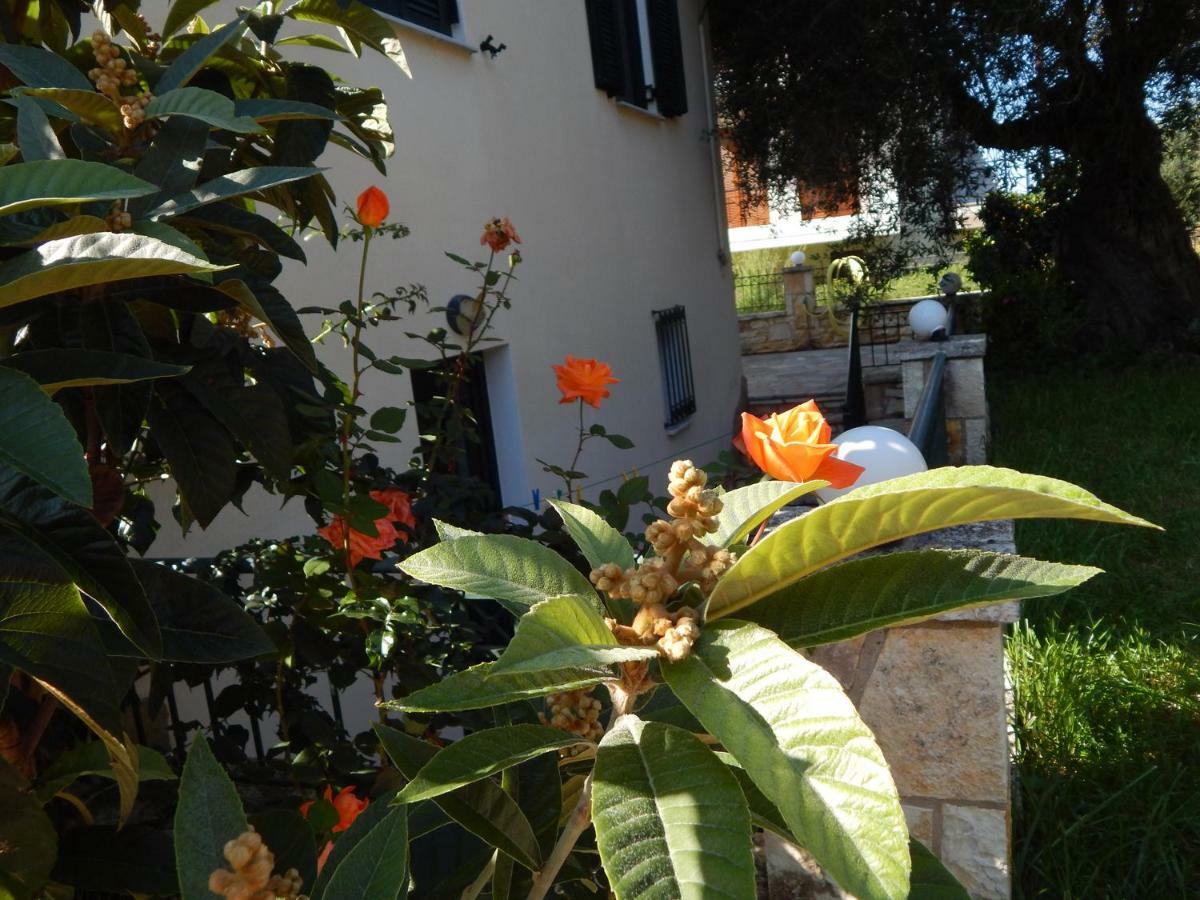Villa Dimitra Sívota 外观 照片